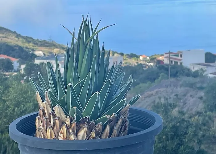 La Casa De Mami Nyaraló El Tanque