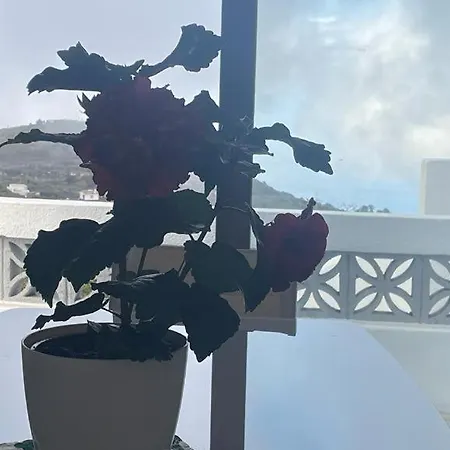Hébergement de vacances La Casa De Mami El Tanque
