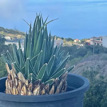 La Casa De Mami Feriehus El Tanque